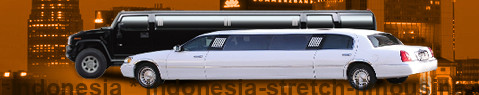 Stretch Limousine Indonesia | Limos Indonesia | Limo hire